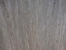 Ʒ-ECE MARBLE